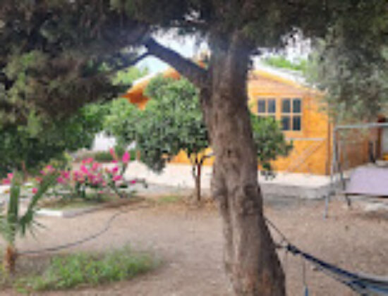 Cyprus Glamping Park