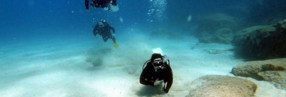 Ocean View Diving